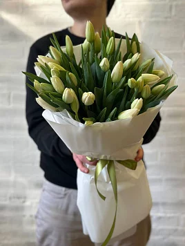 35 Белых тюльпанов